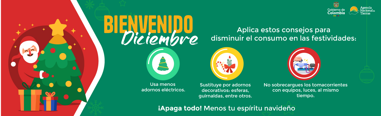 Aplica estos consejos para disminuir el consumo en las festividades