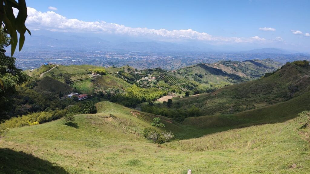 Predio recuperado en Cartago.