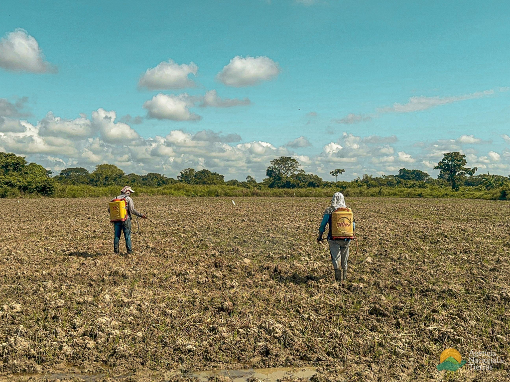 dos-personas-caminando-en-un-campo-con-una-mochila-amarilla