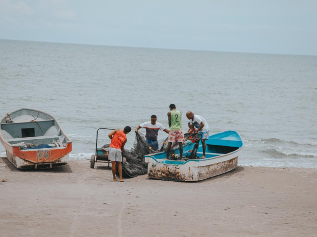 Aparecen tres lanchas a la orilla del mar, sobre dos de ellas cinco hombres afrodescendientes desenredando una mantarraya y de fondo el mar del océano pacífico.