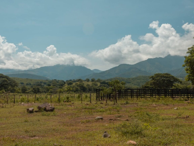 Fotografía de un terreno con zonas verdes y árboles en La Guajira.