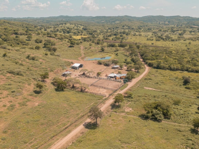Fotografía aérea de un terreno con árboles y algunas casas en Tenerife, Magdalena