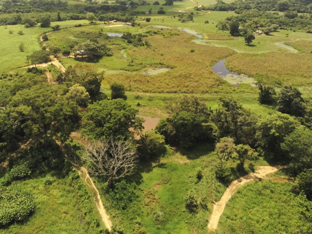Fotografía de un terreno con zonas verdes y árboles en Calarcá.