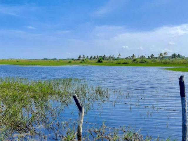Lago en el terreno Hacienda Arroyo Grande