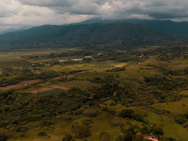 Fotografía de un terreno donde se ve una amplia zona verde, las montañas y algunos árboles.