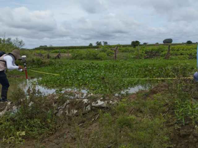 Dos personas estudiando e investigando en un baldío con zonas verdes.