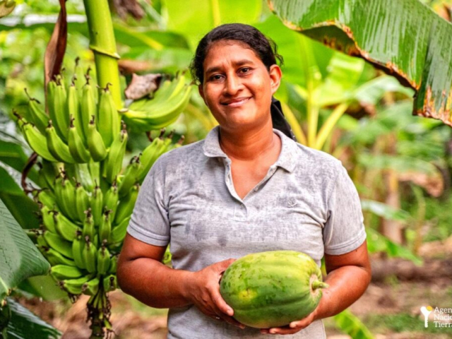 Campesina recolectando verduras