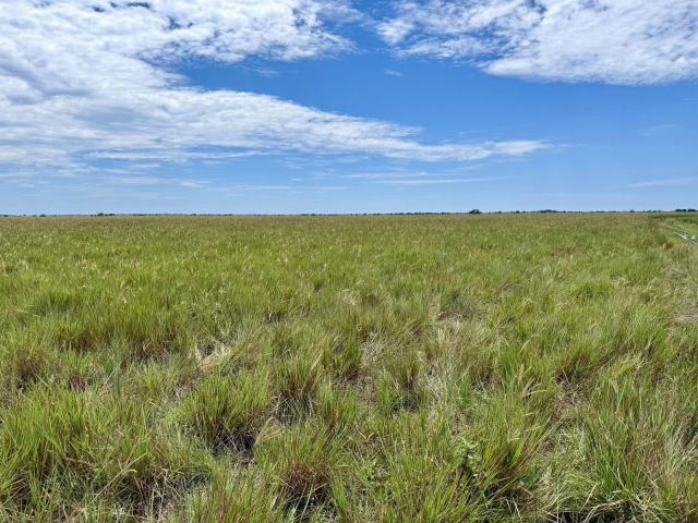 Panoramica de tierras ant