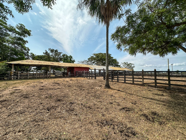 finca-la-molinera-ofertada-por-ex-senador