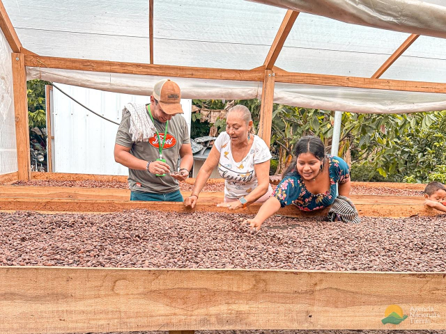 tres-personas-que-trabajan-en-una-estructura-de-madera