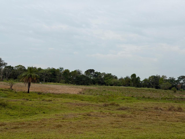 Foto de sábana verde