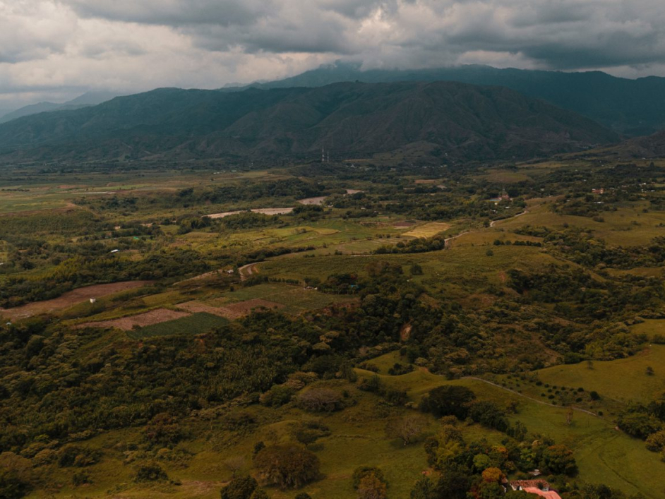 Fotografía aérea de un gran terreno con árboles y algunas casas.