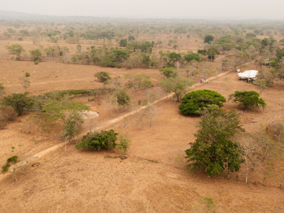 Predio La concordancia