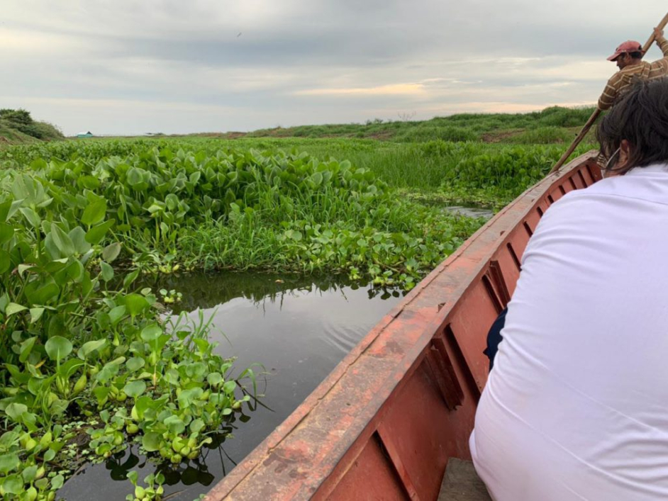 Personas navegando en la ciénaga.