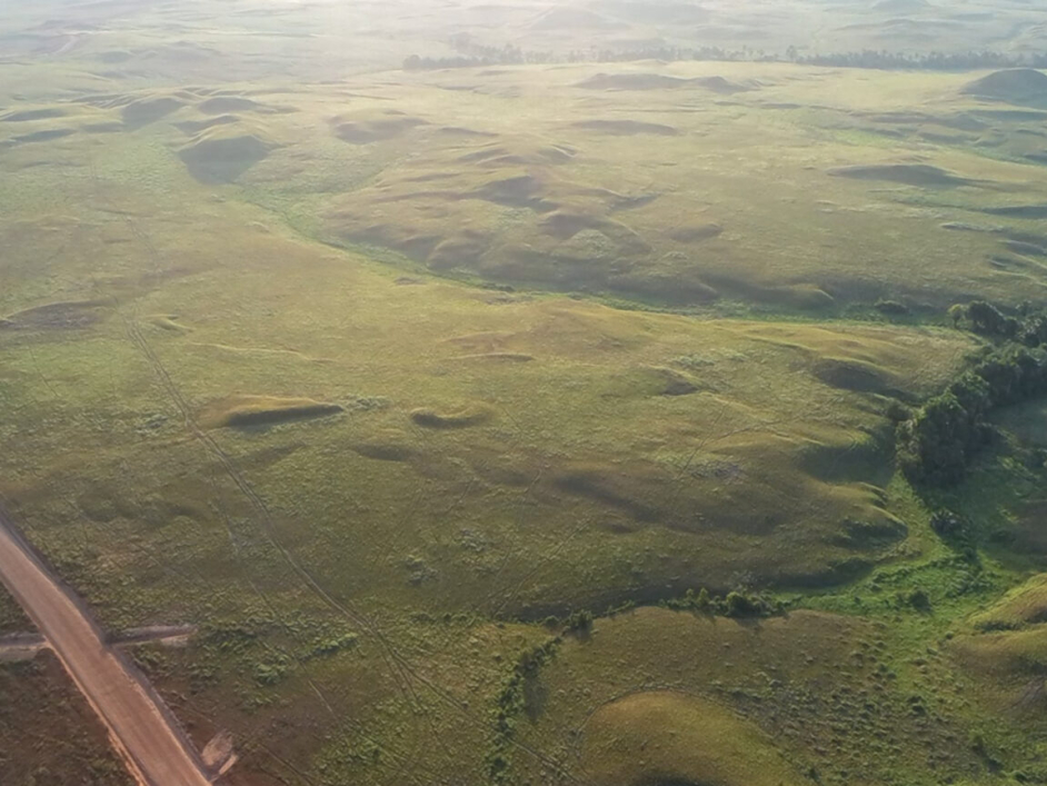 Foto aérea del predio Los Cachorros