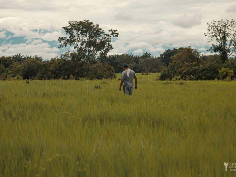 Hombre en el Predio Berlin.