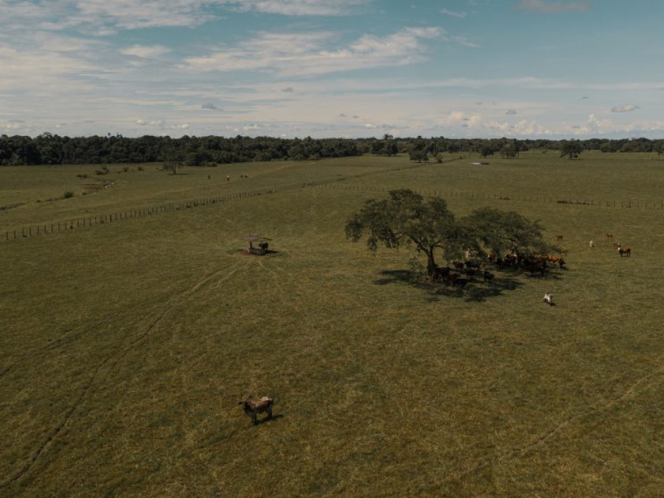 Fotografía aérea del Predio Berlin.