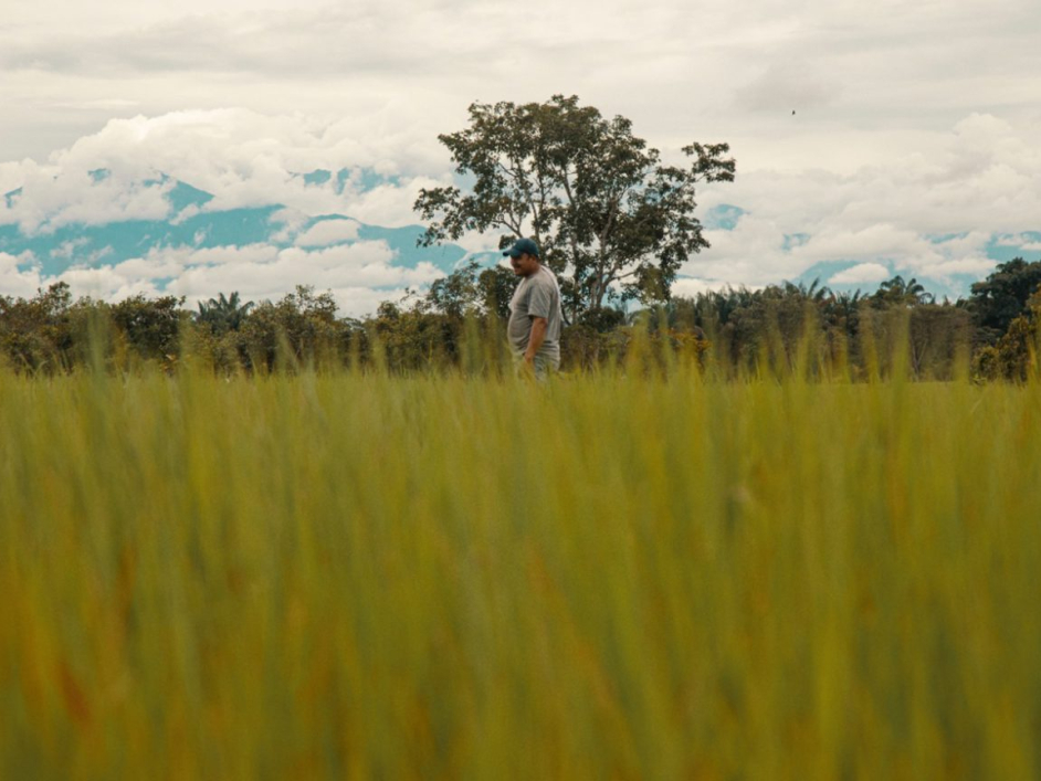 Un hombre en el predio El Berlín en el Meta.