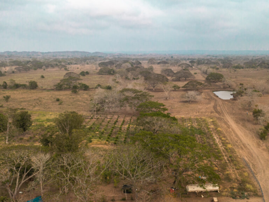 Predio San Antonio de Palmito.