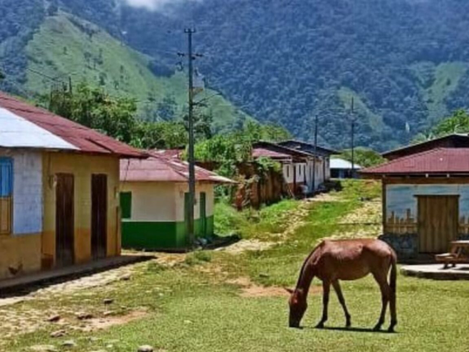 Fotografía de un pequeño pueblo donde se ven algunas casas, un caballo comiendo pasto y unas grandes montañas detrás.