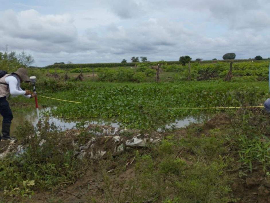 Dos personas estudiando e investigando en un baldío con zonas verdes.