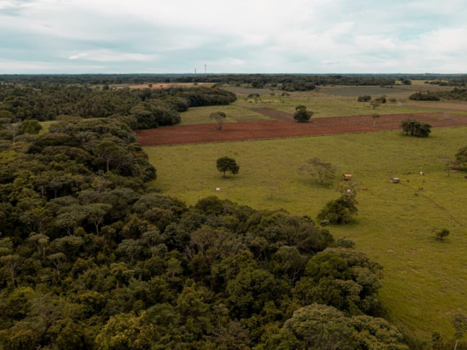 Fotografía de un terreno con zonas verdes y árboles.