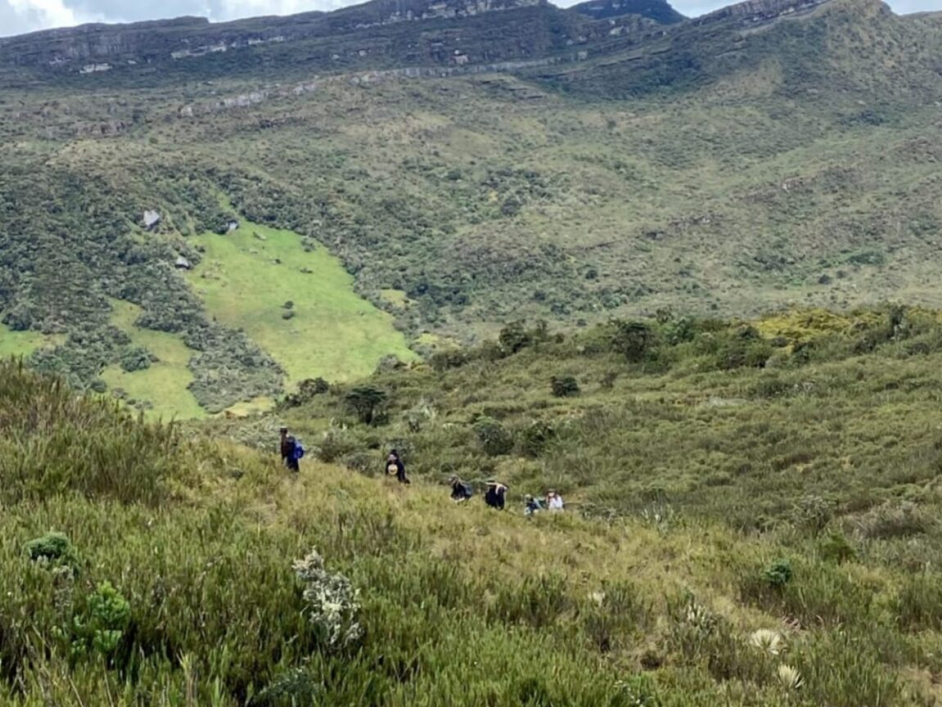 Fotografía de un terreno de montañas y árboles en Zonas de Reserva Forestal