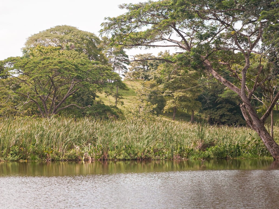 Imagen de un paisaje y un lago