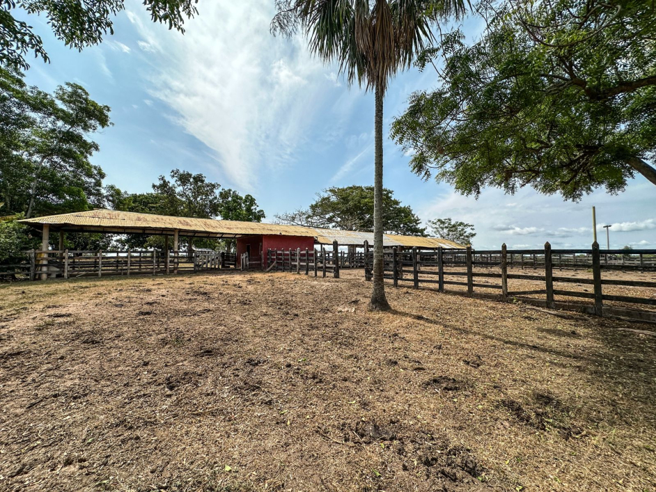 finca-la-molinera-ofertada-por-ex-senador