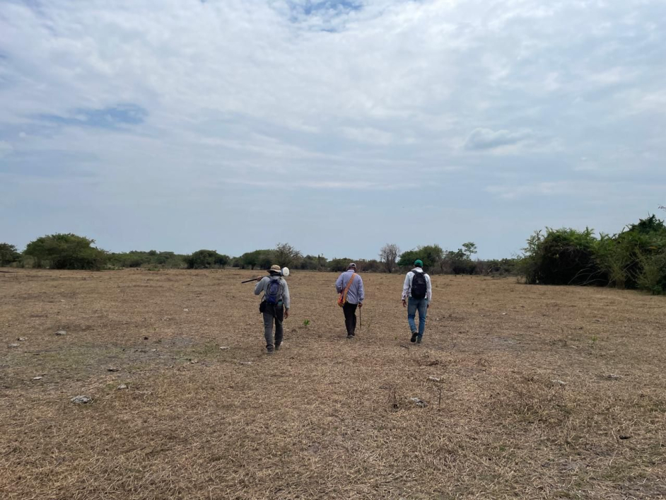 visita-tecnica-en-cesar