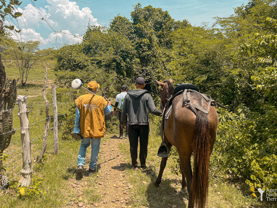 un-hombre-caminando-un-caballo-por-un-camino