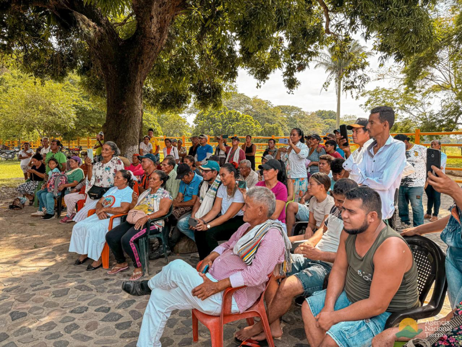 un-grupo-de-personas-sentadas-en-sillas-y-un-arbol