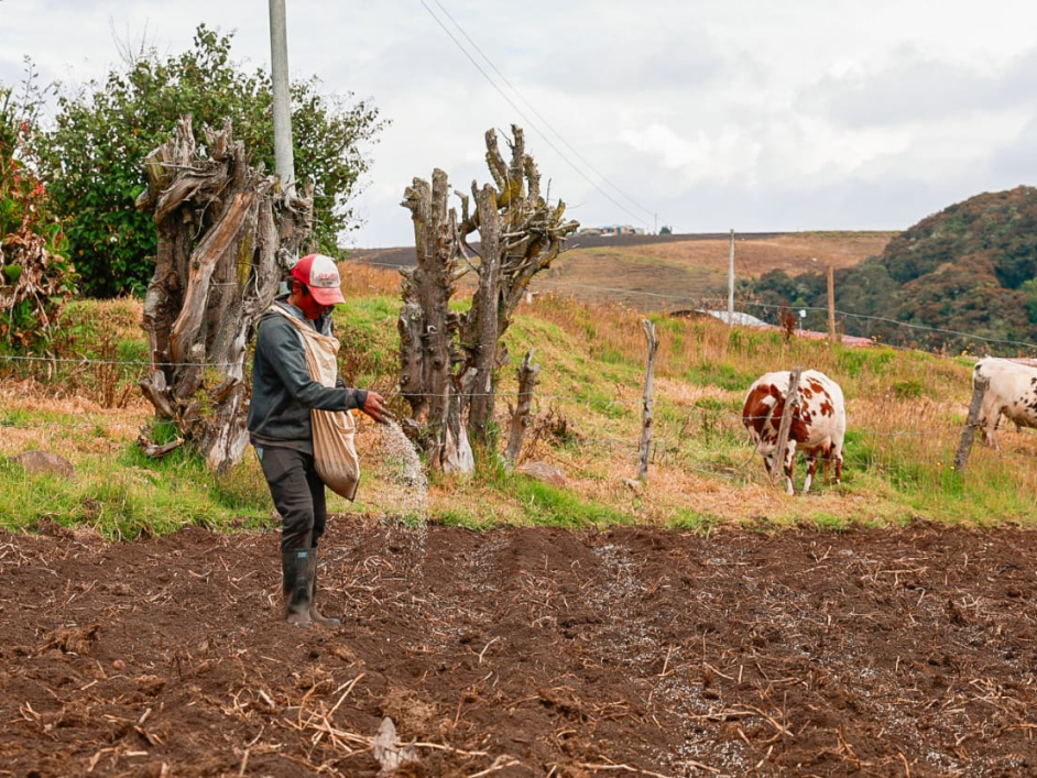 un-hombre-est-trabajando-en-el-campo-con-vacas