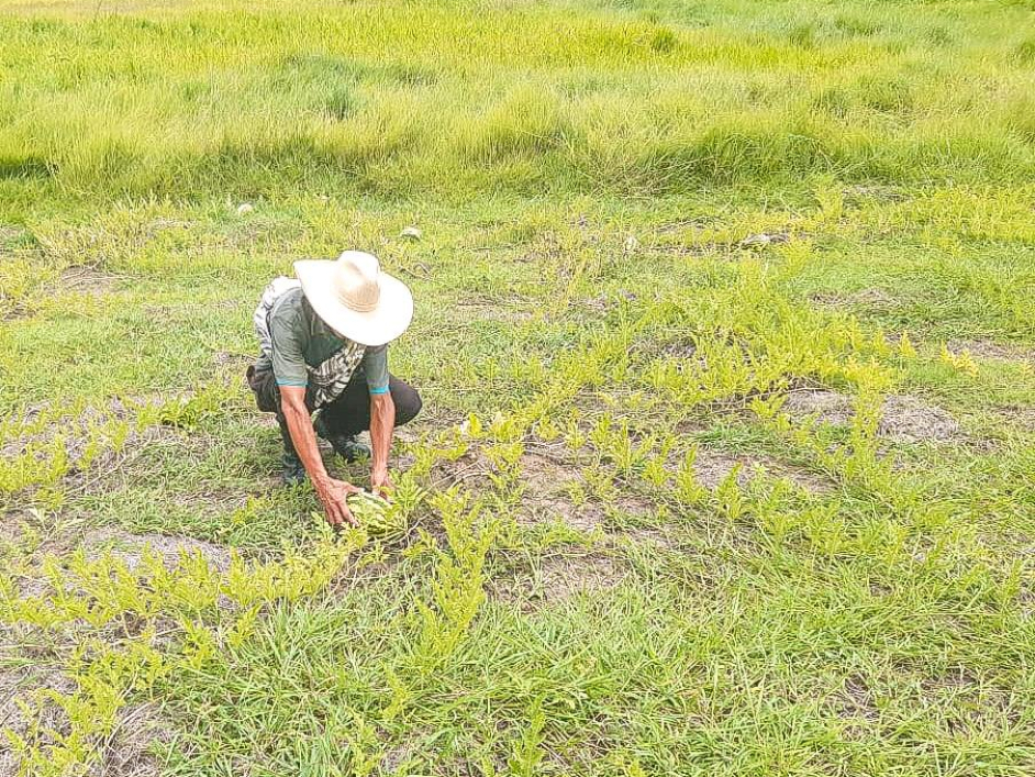 un-hombre-con-un-sombrero-esta-arrodillado-en-un-campo