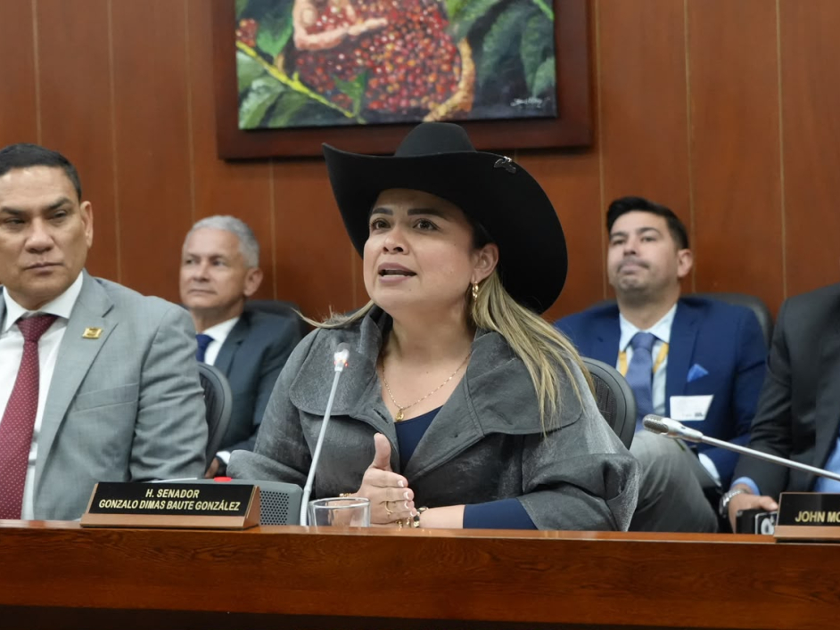“Con el presupuesto que tenemos, la ANT va a cumplir”: directora Lina María Garrido