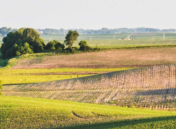 Tierra agrícola plana.